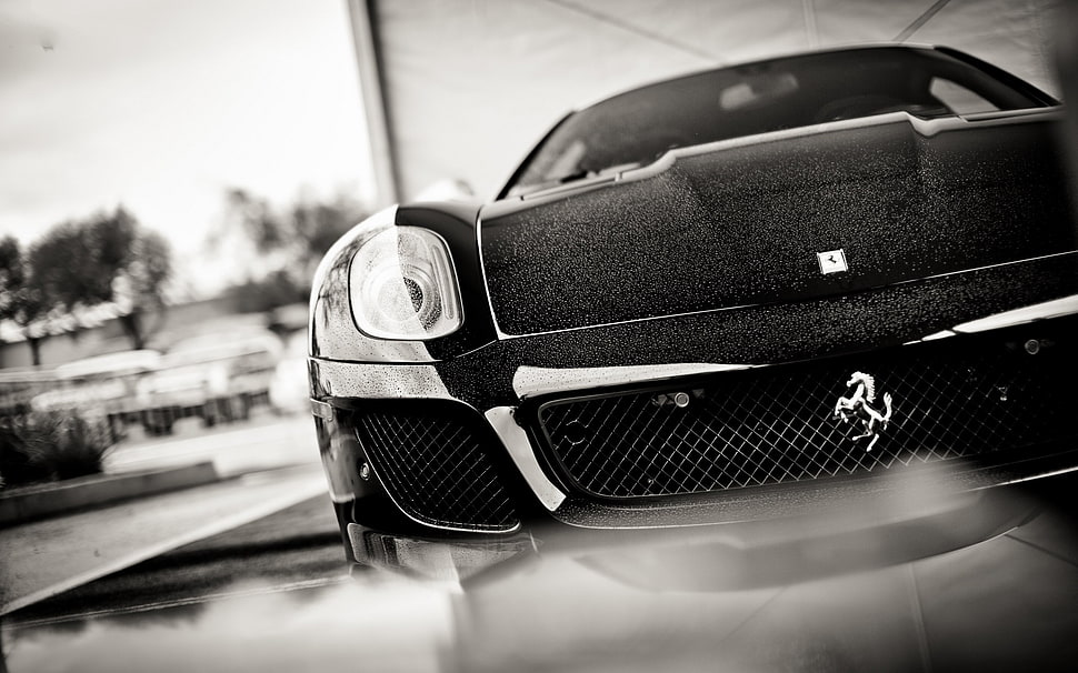 black Ferrari sports car, Ferrari, monochrome, car, vehicle HD wallpaper