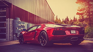red Lamborghini coupe, car, Lamborghini, red cars HD wallpaper