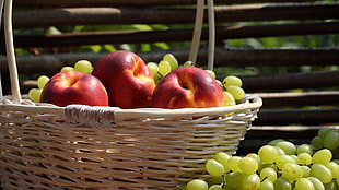 selective focus photography of apple and grape fruits in brown wicker baskets