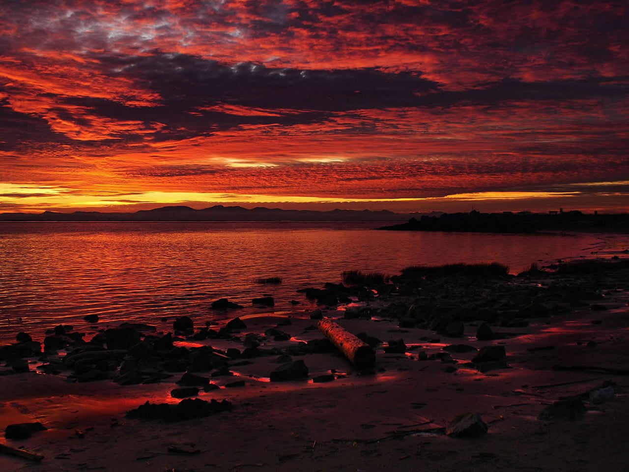 red and black abstract painting, landscape, sunset, beach, sky