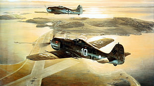 black and brown biplane wallpaper, World War II, fw 190, Focke-Wulf, Luftwaffe