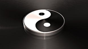 yin yang 3d illustration
