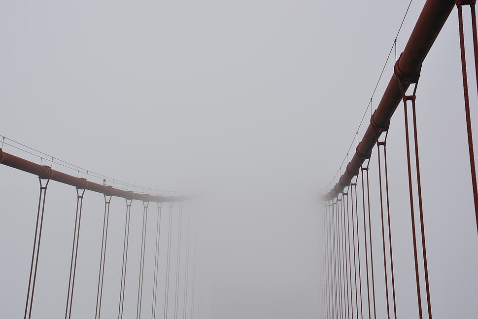 gray steel hanging bridge covered with fog, USA, Golden Gate Bridge, mist HD wallpaper