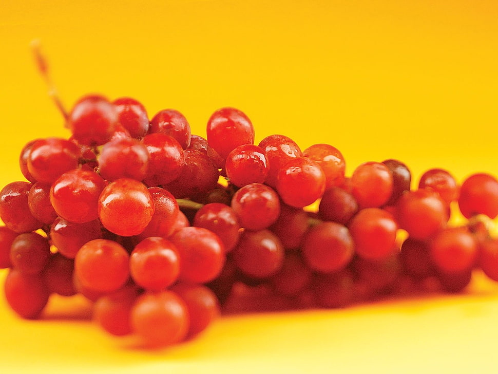 close-up photography of red cherries HD wallpaper