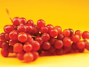 close-up photography of red cherries