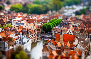tilt shift photography of red, gray, and brown roof houses HD wallpaper