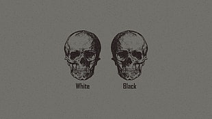 two human skulls illustration, skull, Racism, monochrome, minimalism
