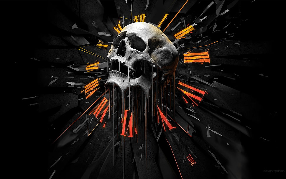 skull illustration HD wallpaper