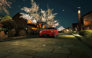 red car, night, street light, trees, cherry blossom