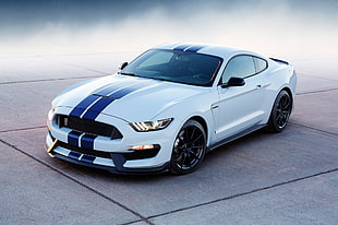 white and blue Ford Mustang on pavement HD wallpaper