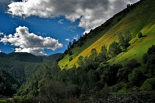 landscape photography of hill, merced river HD wallpaper