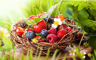 strawberries, raspberries, blueberries, and blackberries, macro, fruit