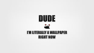 Dude I'm literally a wallpaper right now, quote, typography, minimalism HD wallpaper
