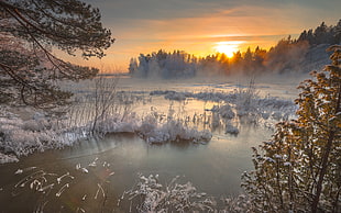 photo of lake during winter time