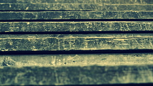 selective photo of gray concrete stairs HD wallpaper