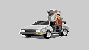 gray coupe illustration, DeLorean, Back to the Future HD wallpaper