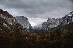 photography of green forest surrounded by rocky mountains