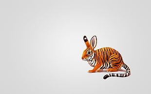 tiger bunny illustration