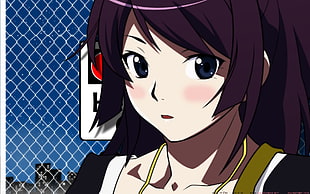 anime female character illustration, anime, Monogatari Series, Senjougahara Hitagi HD wallpaper