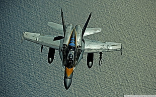gray fighter jet illustration, warplanes, F/A-18 Hornet, aircraft, military HD wallpaper