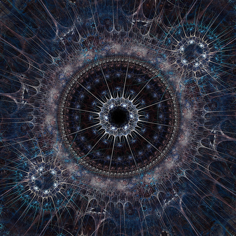 blue and white mandala artwork, Cameron Gray, spiritual, sacred geometry, fractal HD wallpaper