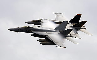 two gray Lockhead Martin F-22 Raptors, airplane, McDonnell Douglas F/A-18 Hornet