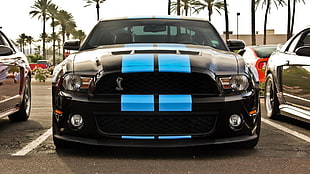 black car, Shelby GT500, Ford Shelby GT500, car