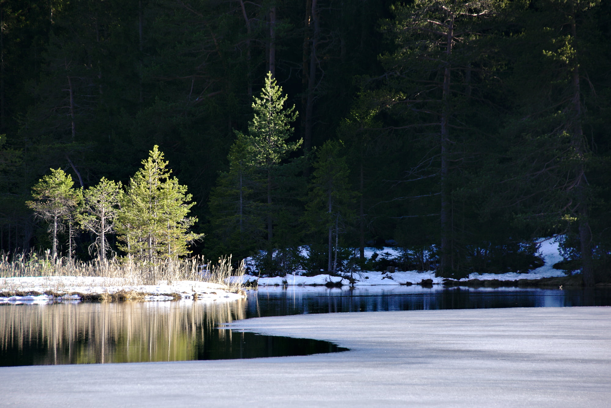 snowy lake during daytime photo