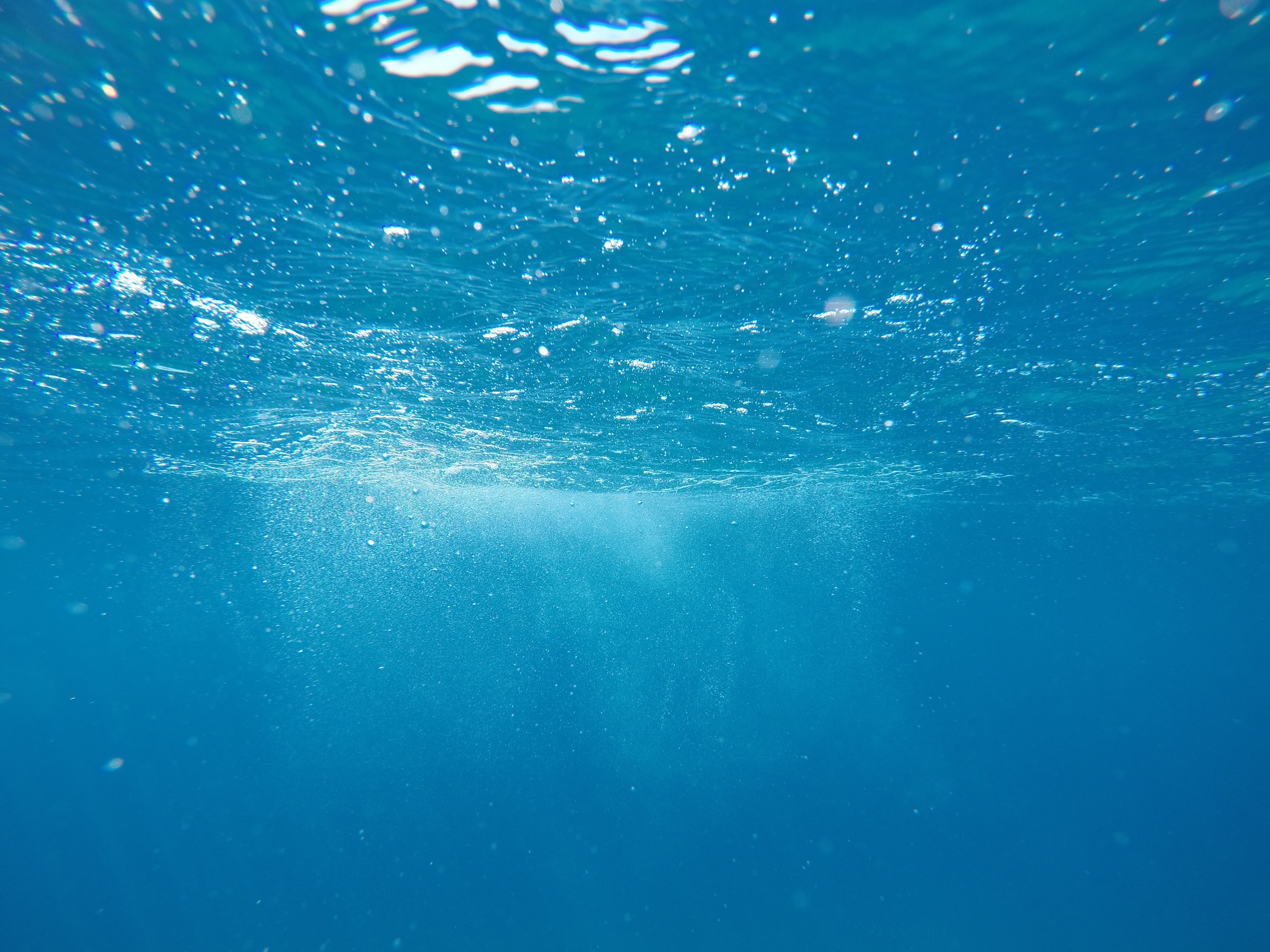 body of water, nature, sea, underwater HD wallpaper.