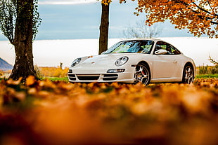 white Porsche coupe near trees during daytime