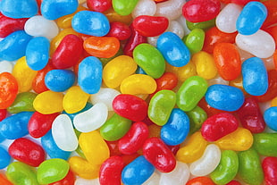 assorted colors of candies