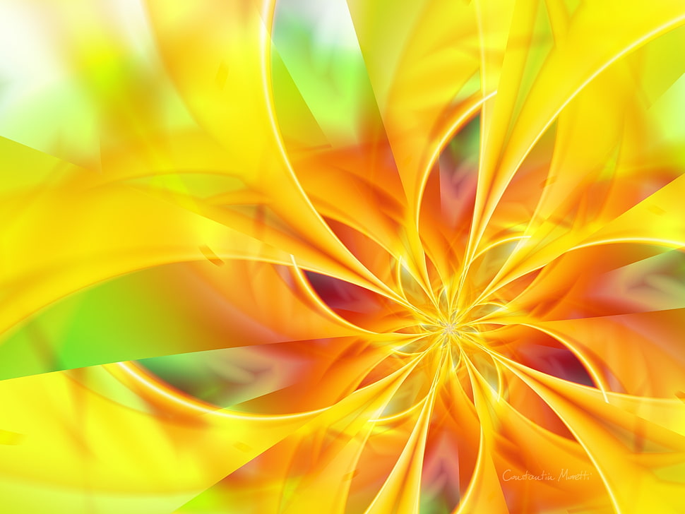 Yellow,  Flower,  Hand,  Bright HD wallpaper