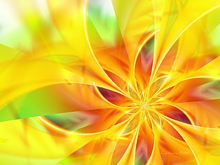 Yellow,  Flower,  Hand,  Bright HD wallpaper