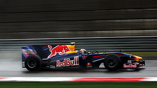 blue race car, Formula 1, Red Bull Racing