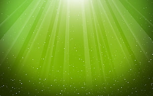 green lights digital wallpaper