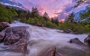 timelapse photography of water stream near forest HD wallpaper