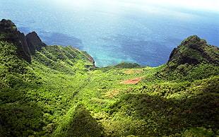 top view photo of green mountain near ocean HD wallpaper