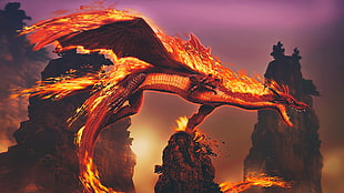 red dragon digital wallpaper, fantasy art, artwork, dragon, night