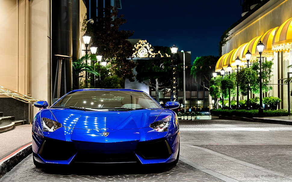 blue sports car, Lamborghini, car, Lamborghini Aventador, blue cars HD wallpaper