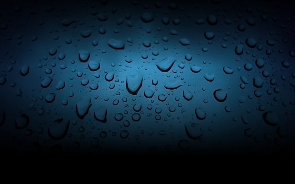 focused photo of water droplets HD wallpaper
