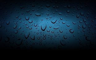 focused photo of water droplets