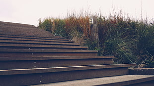 gray stairs, landscape, phone camera