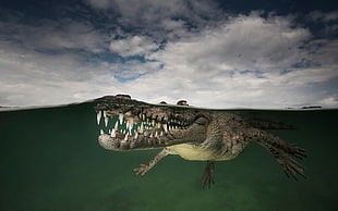 gray crocodile, animals, underwater, reptiles, crocodiles HD wallpaper
