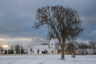 leafless tree on snowland during under cloudy sky near church