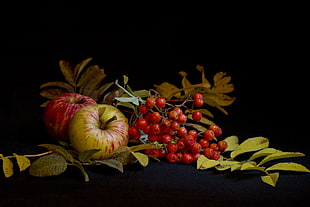 two ripe apples, red berries and green leaf plant]