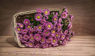 purple flowers in brown wicker basket