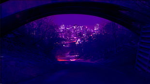 purple city photography, neon