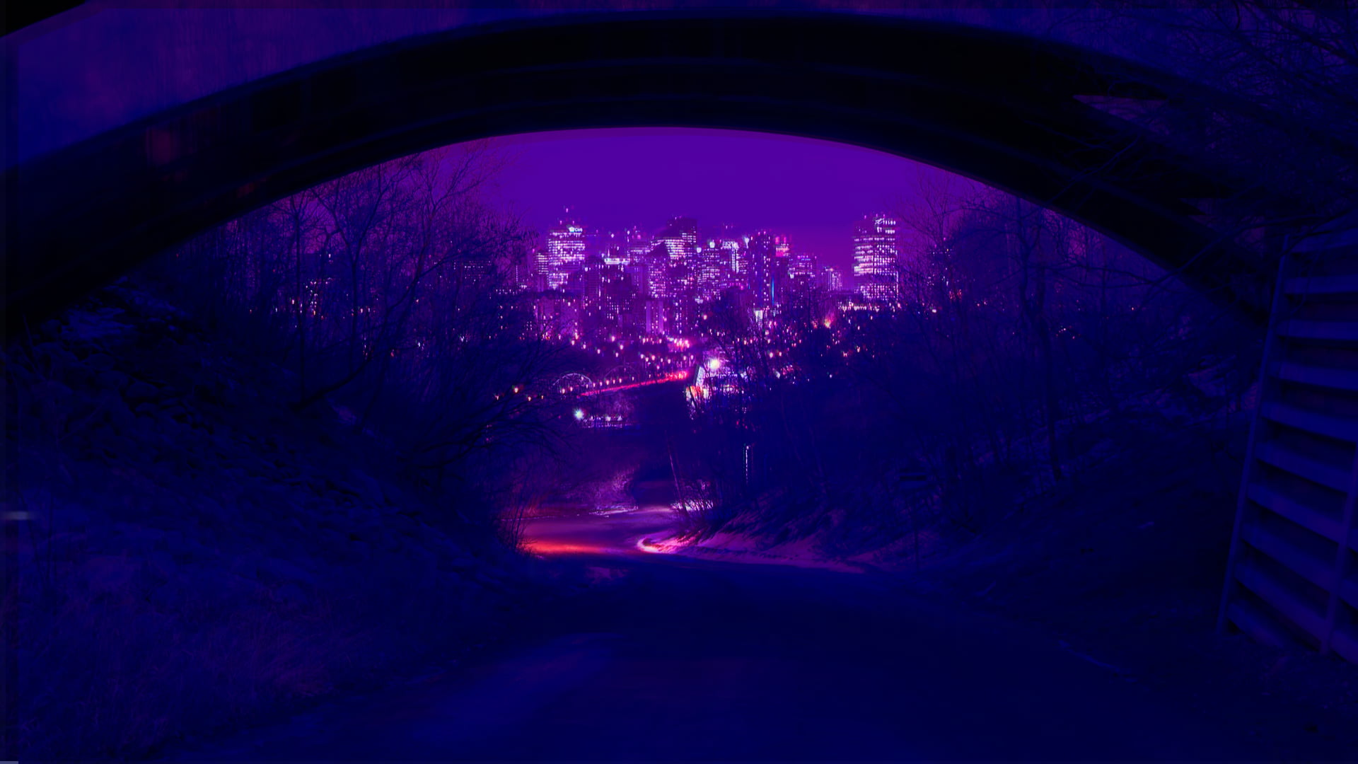purple city photography, neon