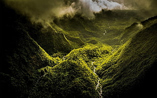 landscape photography of green highlands, nature, landscape, mountains, mist HD wallpaper