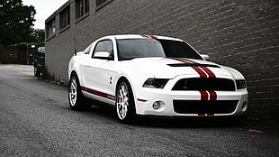 white coupe, Ford Mustang, gt500